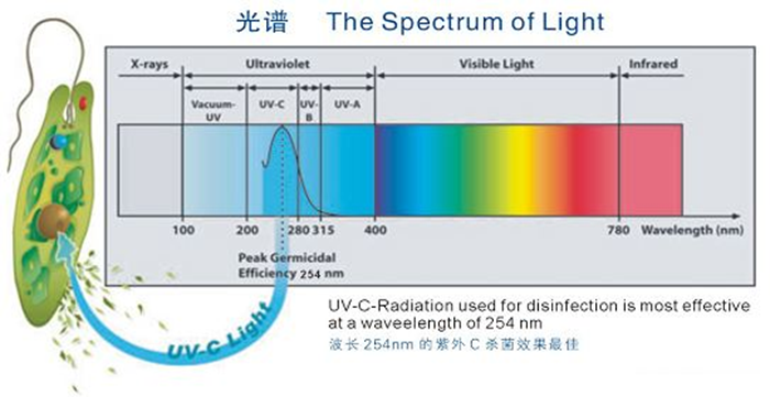 科普！紫外线杀菌灯对人体影响及正确使用方法