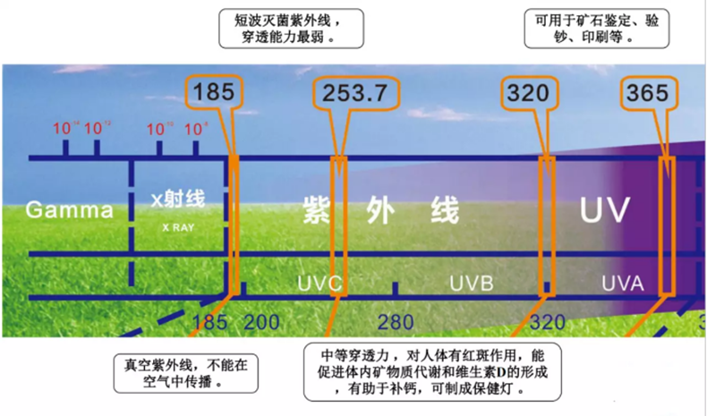 790-_副本.png