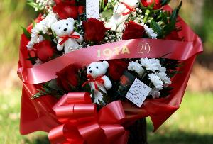 今日世界杯小组赛厄瓜多尔对决库拉索进球集锦_今日世界杯小组赛厄瓜多尔对决库拉索进球集锦在线观看_免费看直播