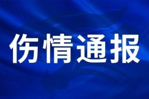海地对决世界杯巴西低调看直播_海地对决世界杯巴西低调看直播在线观看_免费看直播