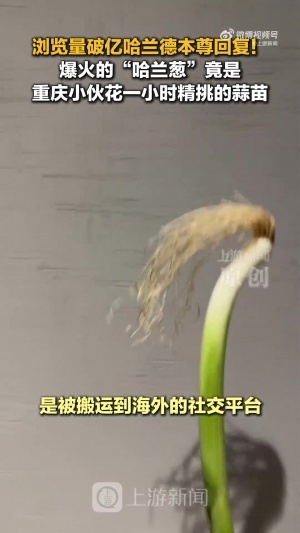 重磅比利时大战埃及jrs直播_重磅比利时大战埃及jrs直播在线观看_免费看直播