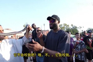 厄瓜多尔对决库拉索进球集锦